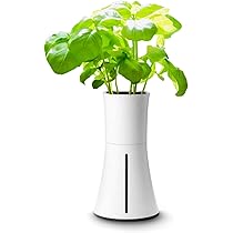 未使用‼️BOTANIUM 水葉栽培 ボタニウム ホワイト 61n7g+x6mGL._AC_UL210_SR210,